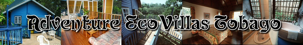 Adventure Ecovillas Tobago - birdwatchers paradise