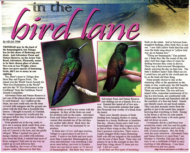 In the Bird Lane, article by Helga Trim in Newsday August 2009
